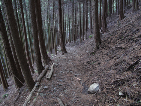 20160121hike (367)